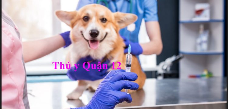 Top phòng khám thú y tỉnh Bạc Liêu